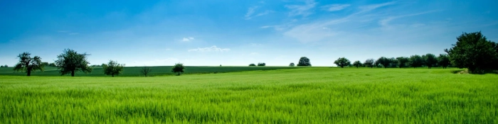 Profilbanner von Billing Test 01, Business Coach aus Aachen –