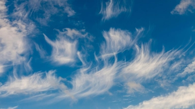 The Importance of UI/UX Design in Digital Transformation